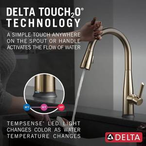 lot 20 image: Delta Essa Touch Kitchen Faucet
