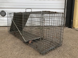 lot 55 image: LARGE Live Animal Cage Trap