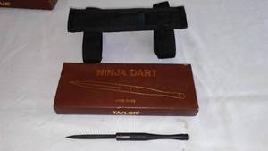 lot 28 image: Ninja Dart By Taylor