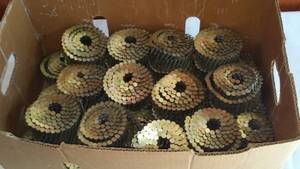 lot 163 image: 12 In. Coil Nails. (54 Rolls)