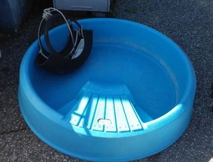 lot 296 image: Tire Swing and Little Tike Kiddie Pool.