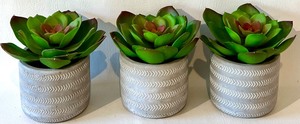 lot 105 image: Faux Succulent Plants in Ceramic Pots - Qty 3