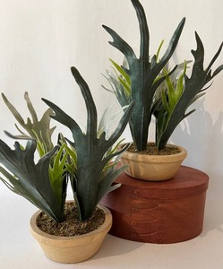 lot 239 image: Pair of Faux Staghorn Plants and Wooden Shaker Box