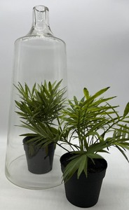 lot 301 image: Tall Glass Cloche Bell Jar with Pair of Faux Plants