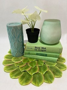 lot 359 image: Green Delights Vintage Books and More