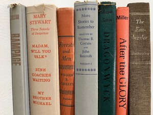 lot 388 image: Vintage Books including The Embezzler - QTY 7