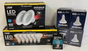 lot 9 image: Misc. LED Light Bulbs