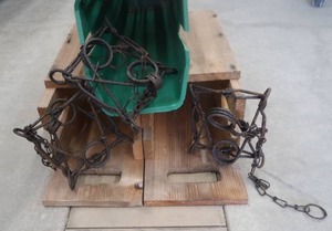 lot 4A image: TRAPPING