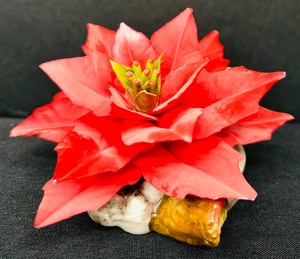 lot 147A image: Beautiful Vintage Napoleon Capodimonte Porcelain Bisque Red Poinsettia
