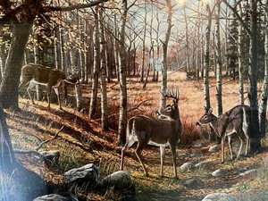 lot 1 image: Museum Sealed Signed and Limited (20777) Ken Zylla Indian Summer Showdown - Rutting Whitetails Art Print with Printing Plate Piece in a 29 x 34 Frame
