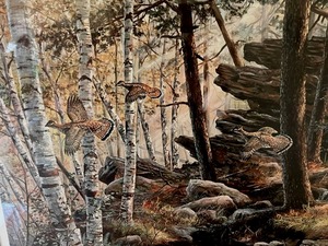 lot 2 image: Museum Sealed Signed and Limited (20777) Ken Zylla Aloft at St. Croix - Ruffed Grouse Art Print with Printing Plate Piece in a 29 x 34 Frame