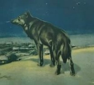 lot 134 image: Vintage Lone Wolf Art Print in 8.75 x 12.75 Frame