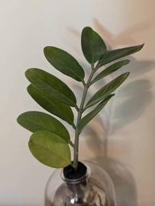 lot 64 image: Live Trends Plant Clipping Vase