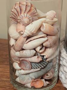 lot 75 image: Jars of Pretty Seashells