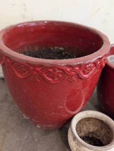 lot 117 image: Decorative Ceramic Planters