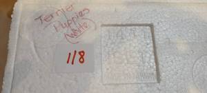 lot 318 image: 3-pc Terrier Puppies, Item #1411
