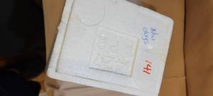 lot 341 image: Black & White Puppies, Item # 1427