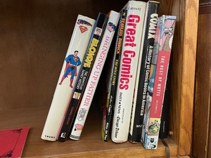 lot 76 image: Hardcover Comic Book Collections as Seen on Shelf.