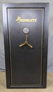 lot 1 image: Cannon Resolute 60 R-22 Gun Safe with Keypad Combination