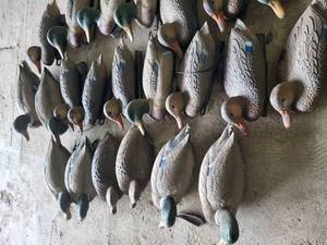 Duck Decoys with Carry Bag -- Good Shape
