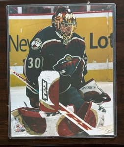 lot 285 image: #30 Dwayne Roloson Minnesota Wild Hockey Plaque with Print and Two Trading Cards