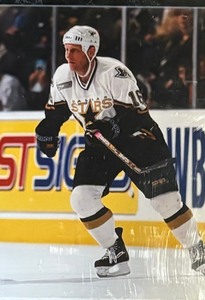 lot 307 image: #16 Brett Hull Dallas Stars Print and Collectable Card Plaque