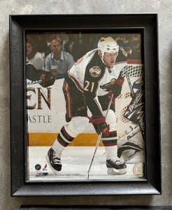 lot 324 image: Nine Nice Minnesota Wild Hockey Prints