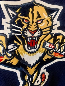 lot 351 image: NHL CCM Florida Panthers JerseySize XL