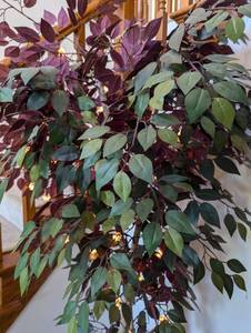 Potted Faux Ficus Tree