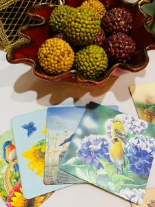 One Stop Home Decor Stop Lovely Grouping of Decor and Design Items