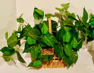 Beautiful Faux Plants and Flowers