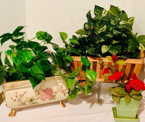 Wonderful Collection of Faux Plants and Flowers
