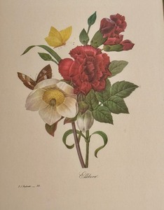 lot 78A image: Framed Vintage Floral Print
