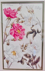 lot 96 image: Vintage Asian Framed Floral Print