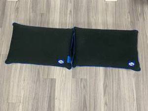2 Sealy Pillows
