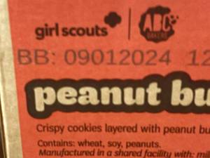 lot 166 image: 2 back 1.0 - Girl Scouts Peanut Butter Patties Cookies - 2 Packages
