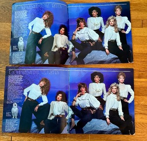 lot 9 image: Two Vintage 1981 Daytons Department Store Catalogues