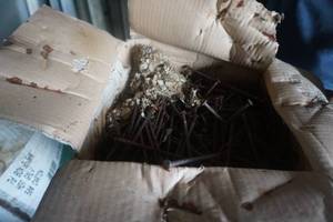 lot 112 image: Lot of 6 Pole Barn Nails