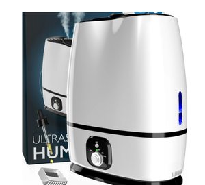lot 270 image: Everlasting Comfort 6L Cool Mist Humidifier for Bedroom Filterless