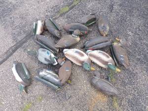 14 Duck Decoys