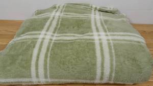 lot 21 image: Holiday Print Microplush Bed Blanket - Threshold-FullQueen-Green Plaid