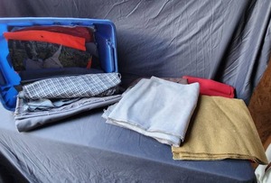 lot 32 image: Costume Fabric bonanza--a STEAL at 5 bucks