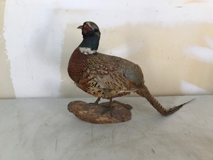 lot 119 image: Pheasant Mount on Wood
