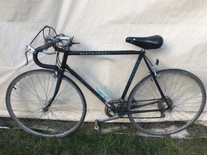 lot 232 image: Schwinn World Sport Speed Bike