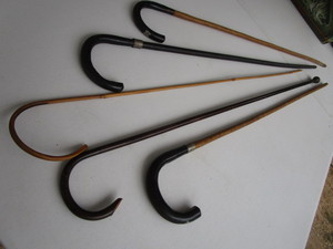 Carnival  Fair Canes