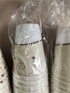 12oz Insulated Cups