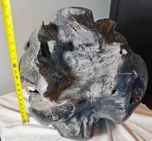 lot 73 image: Revelations by Uttermost Dcor Root Ball Dcor