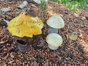 lot 155 image: Ceramic Mushroom Patch