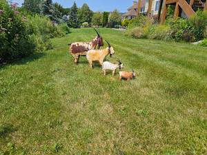 lot 32 image: Folksy Iron Billy Goats
