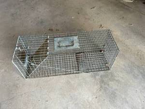 lot 101 image: Live Trap